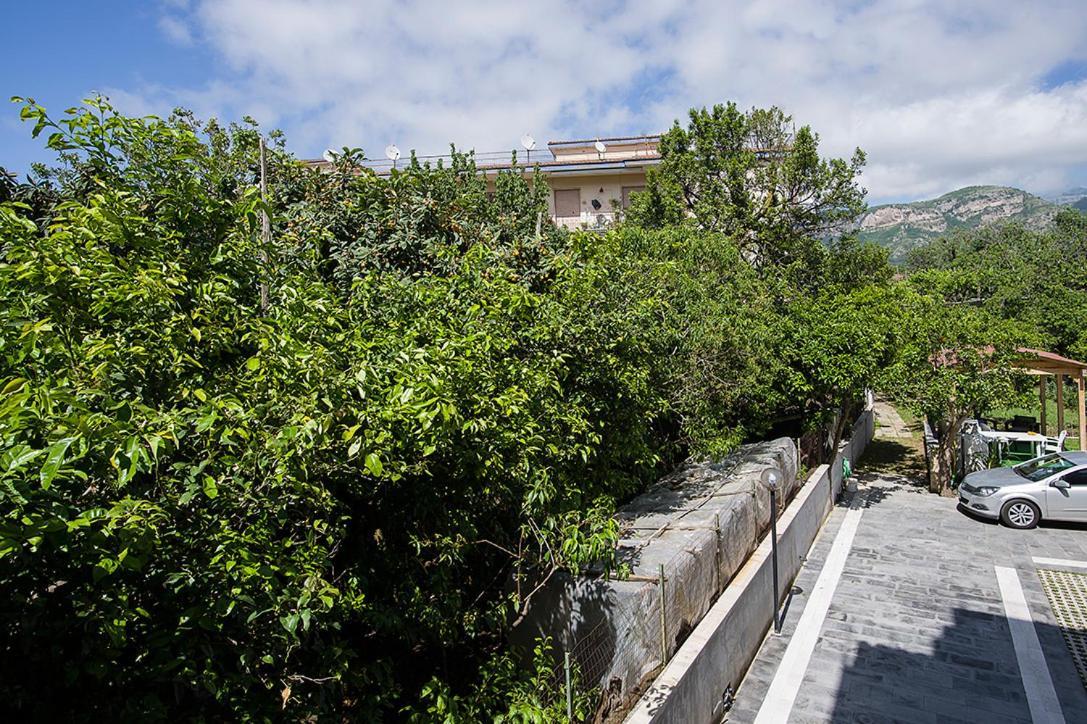 Casa Aristide Bed & Breakfast Sant'Agnello Dış mekan fotoğraf