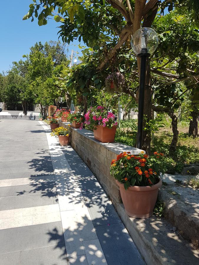 Casa Aristide Bed & Breakfast Sant'Agnello Dış mekan fotoğraf